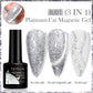 Cat Magnetic Gel Nail Polish