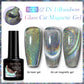 Cat Magnetic Gel Nail Polish
