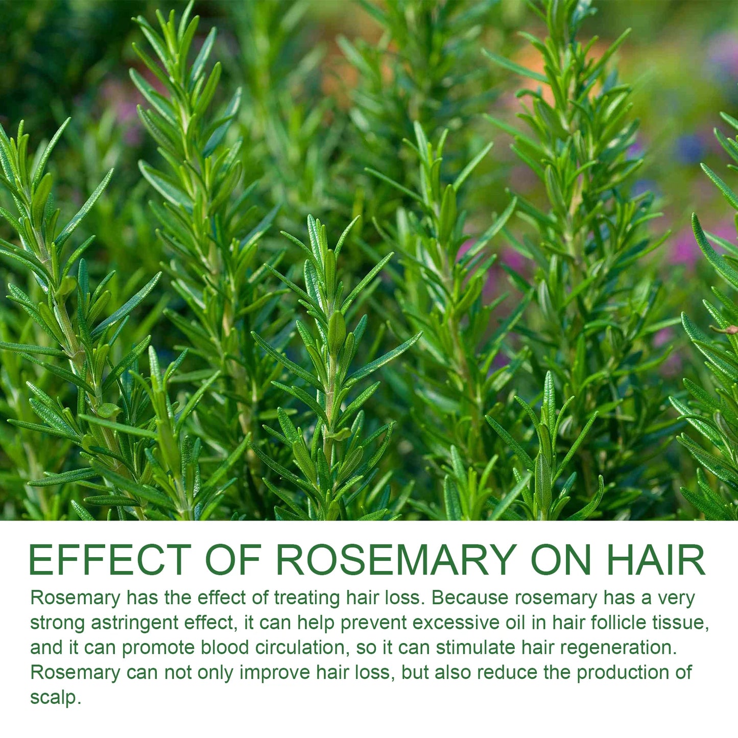 Rosemary Shampoo for Damaged Hair