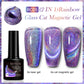 Cat Magnetic Gel Nail Polish